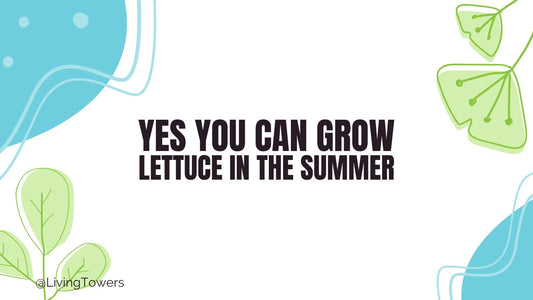 Yes, You Can Grow Lettuce in Summer with a Tower Garden—Here’s How 🌞🥬