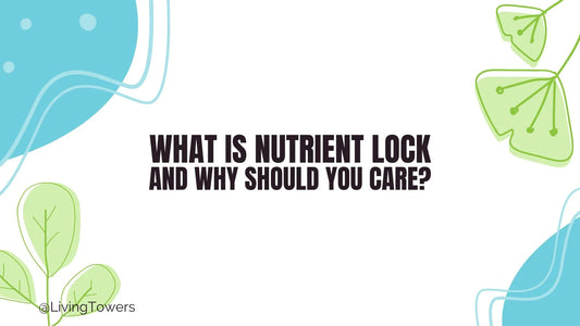 What Is Nutrient Lock & Why Should You Care?