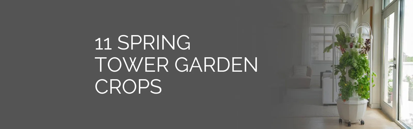 11 Spring Tower Garden Crops