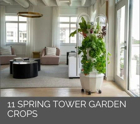 11 Spring Tower Garden Crops