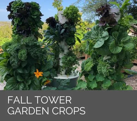 14 of the Best Fall Tower Garden Crops