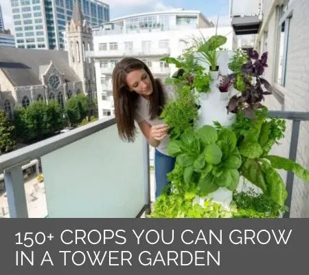 150+ Crops You Can Grow In a Tower Garden