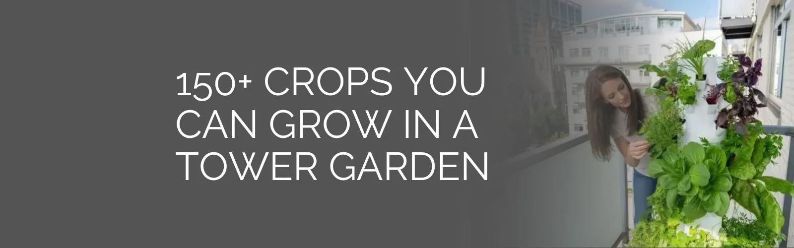 150+ Crops You Can Grow In a Tower Garden