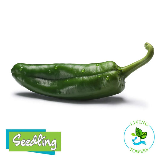 Vegetables - Pepper, Anaheim