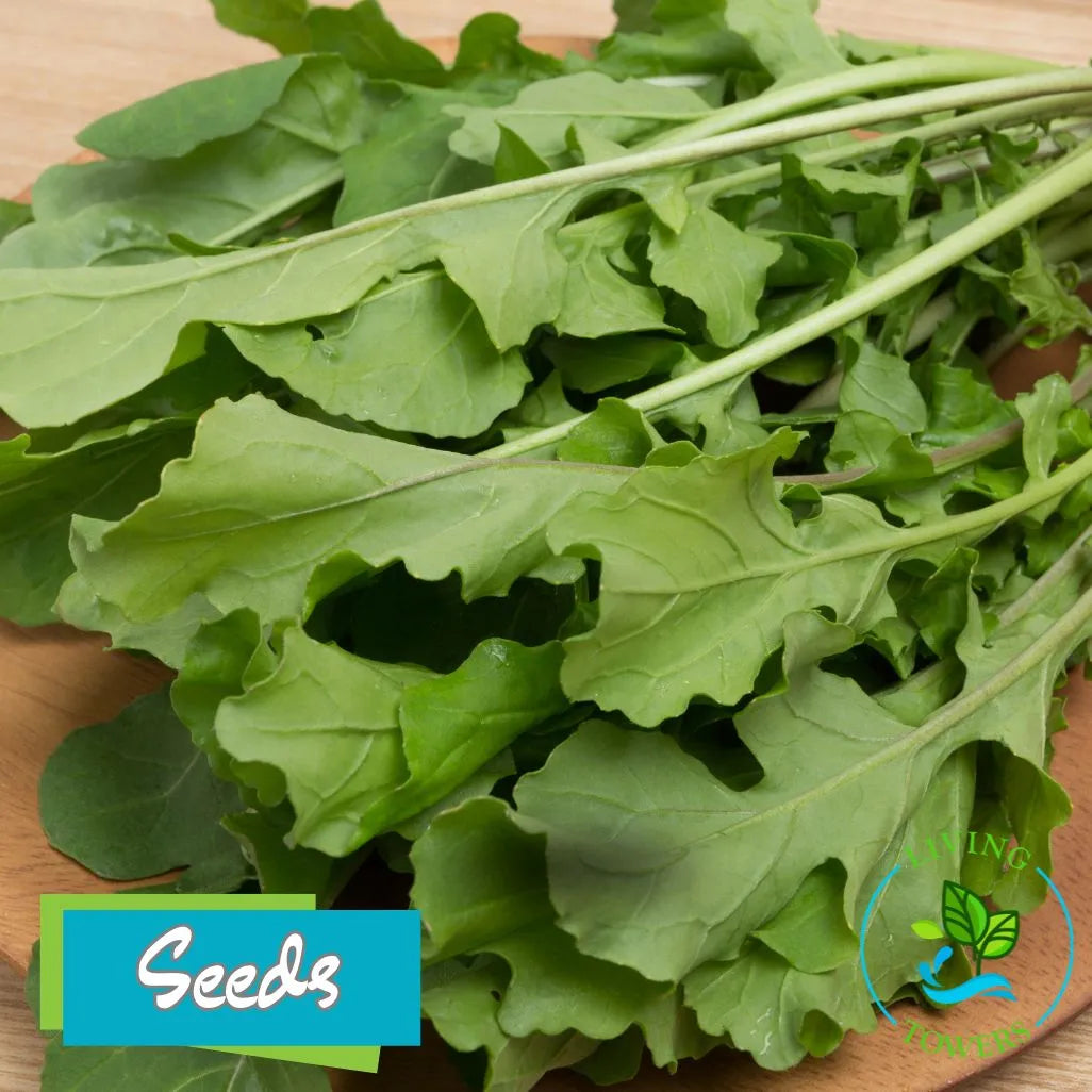 Greens - Arugula Seeds