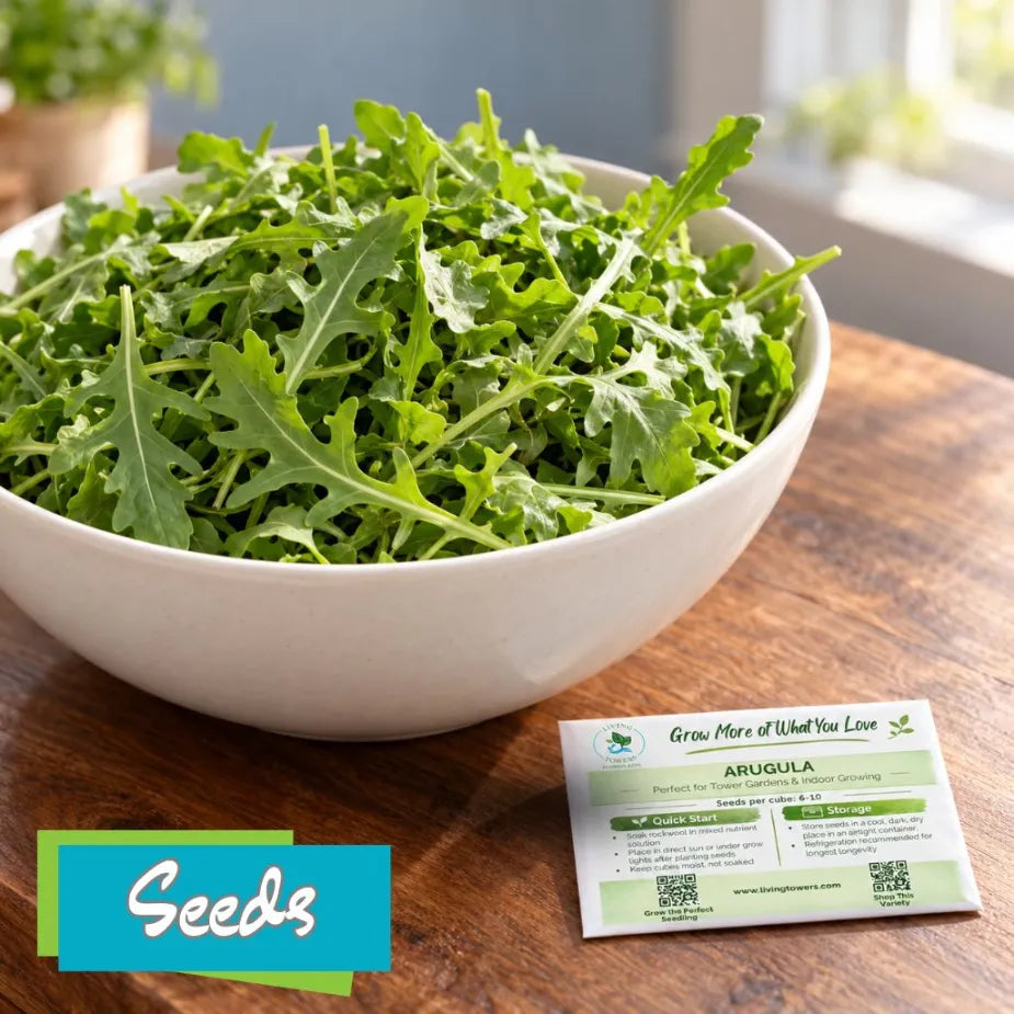 Greens - Arugula Seeds