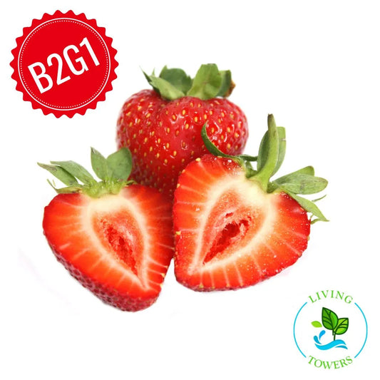 Fruit - Strawberry, Fronteras