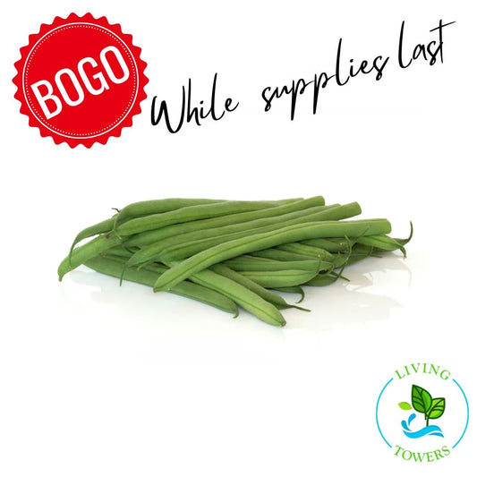 Vegetables - Beans, Green