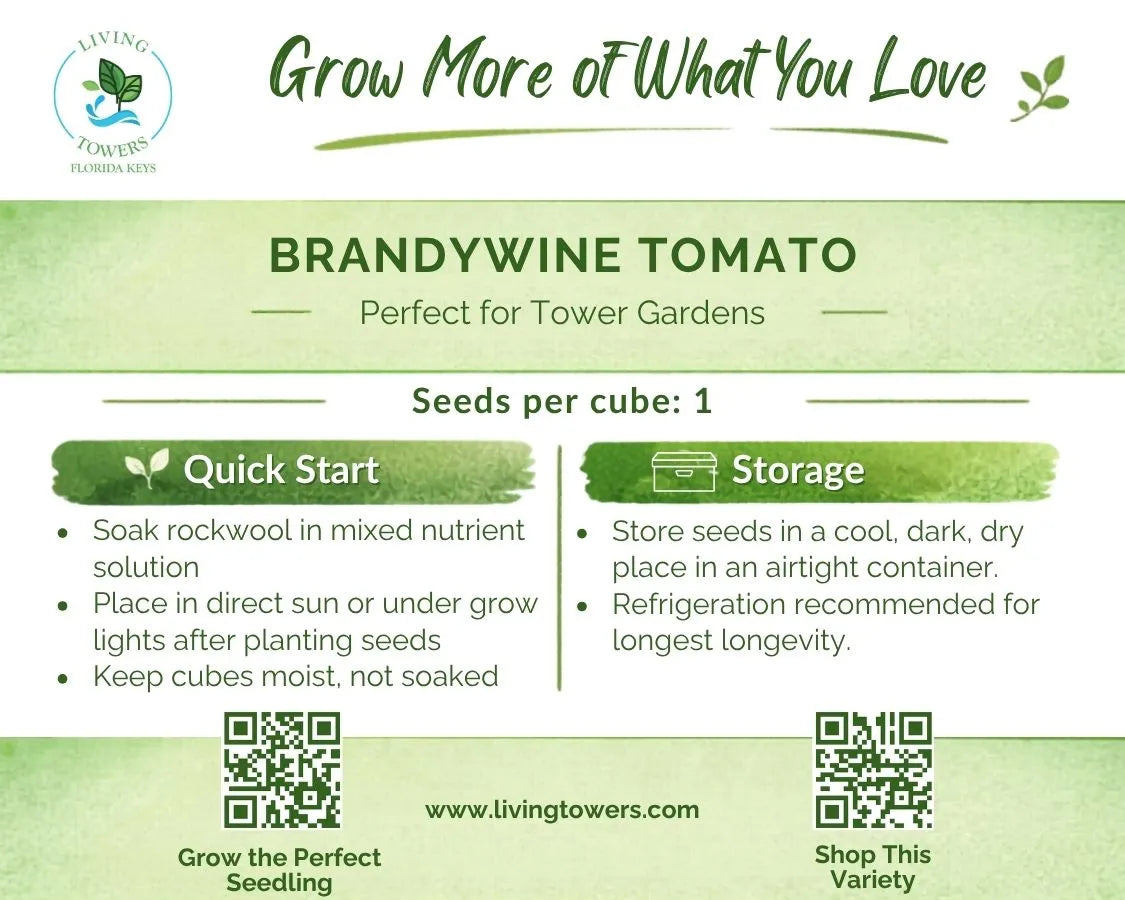 Vegetables - Tomato, Brandywine Seeds