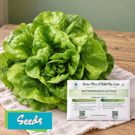 Lettuce - Bibb, Buttercrunch Seeds