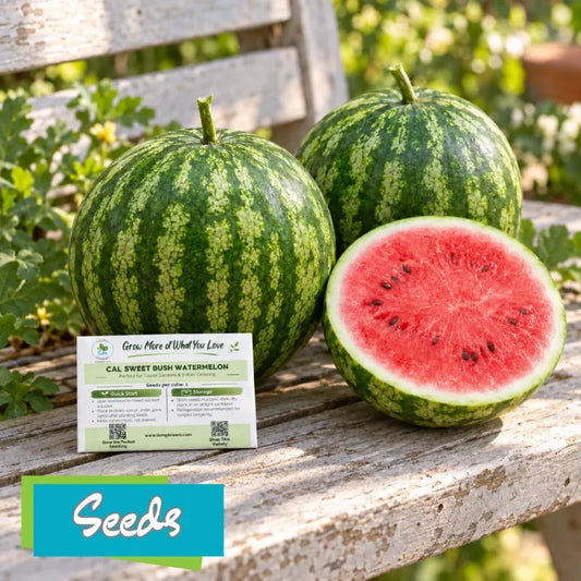 Fruit - Watermelon, Cal Sweet Bush Seeds