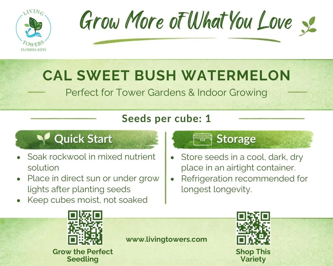 Fruit - Watermelon, Cal Sweet Bush Seeds