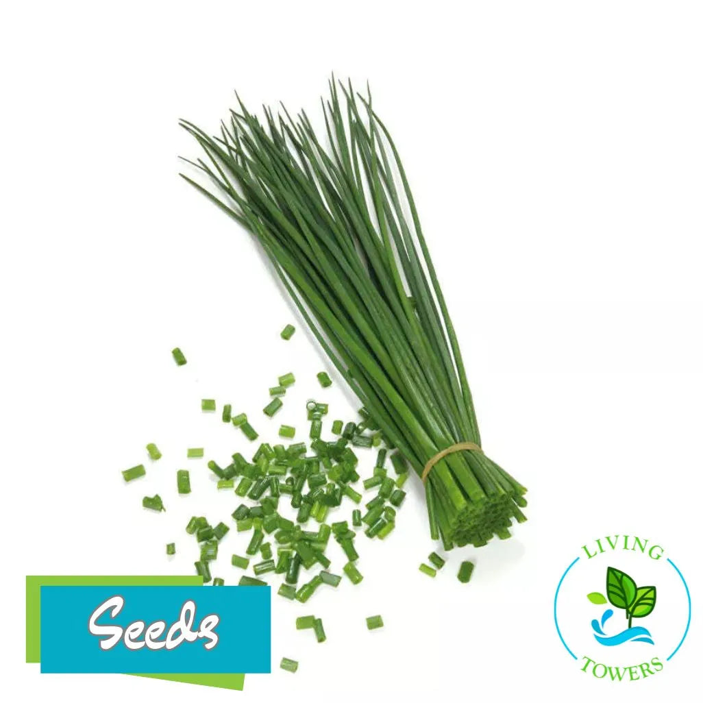 Herbs - Chive Seeds