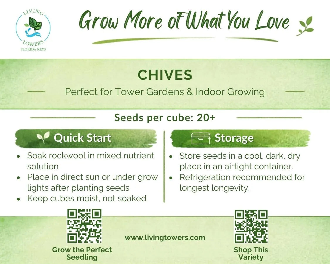 Herbs - Chive Seeds