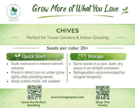 Herbs - Chive Seeds
