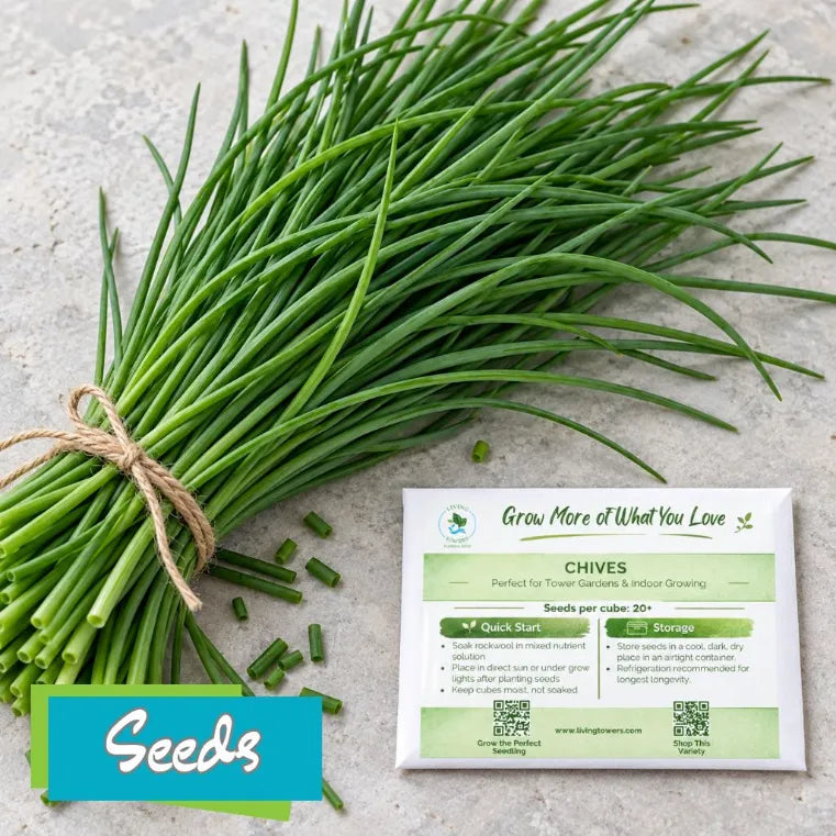 Herbs - Chive Seeds