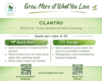 Herbs - Cilantro, Leisure Seeds