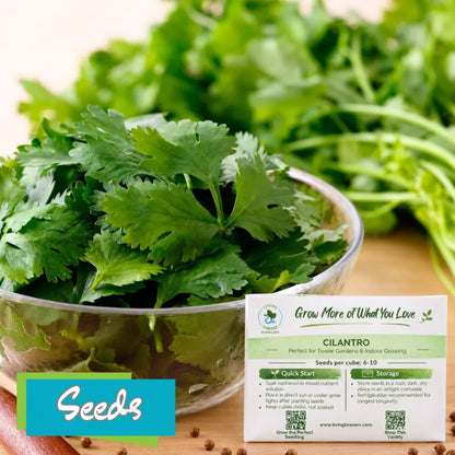 Herbs - Cilantro, Leisure Seeds