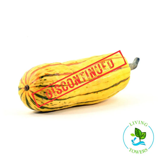 Delicata Squash Tower Garden Seedling | Living Towers Florida Keys