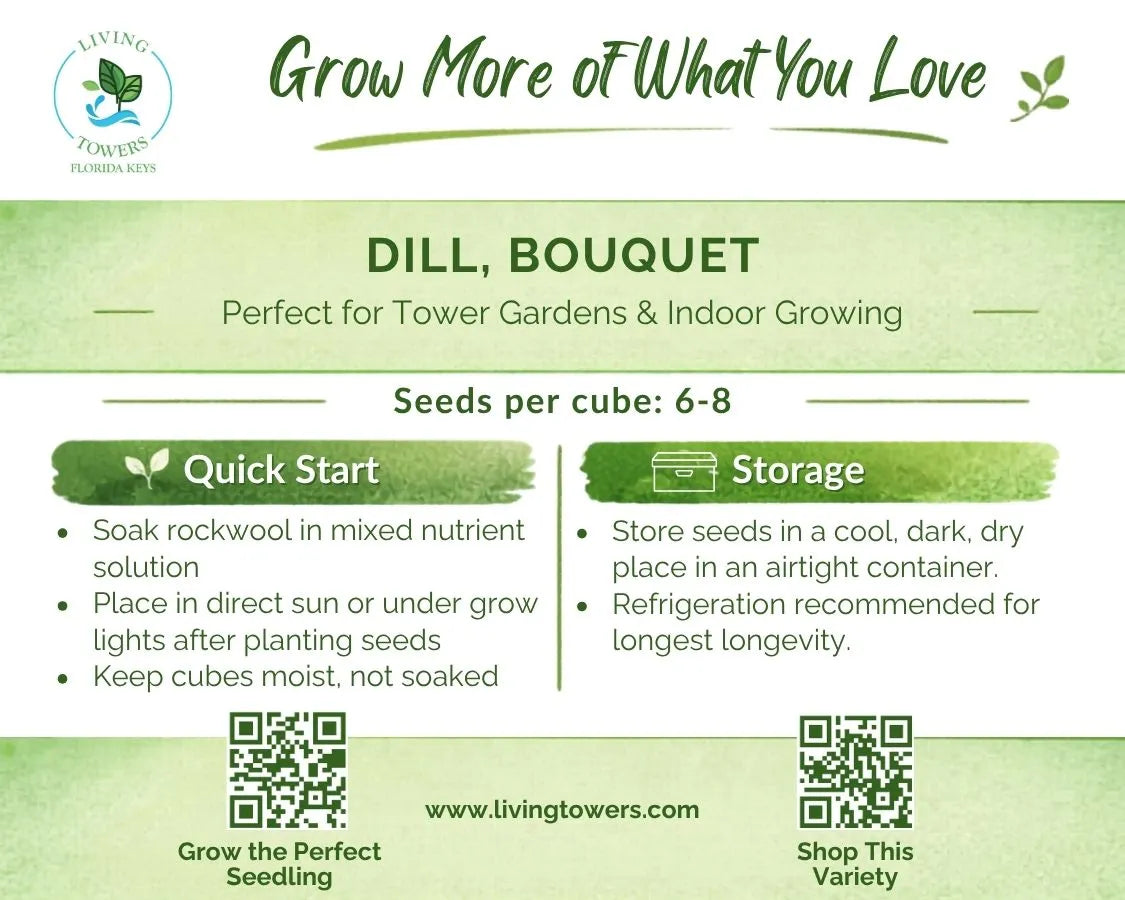 Herbs - Dill Seeds