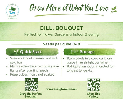 Herbs - Dill Seeds