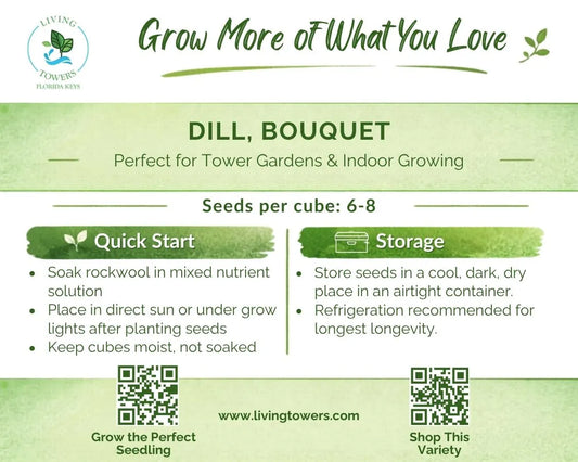 Herbs - Dill Seeds