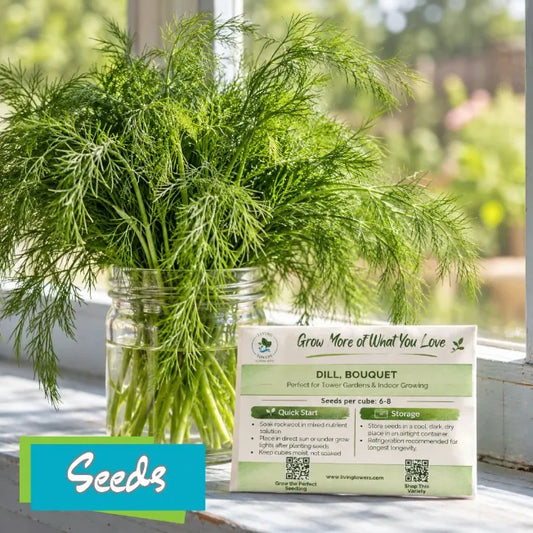 Herbs - Dill Seeds