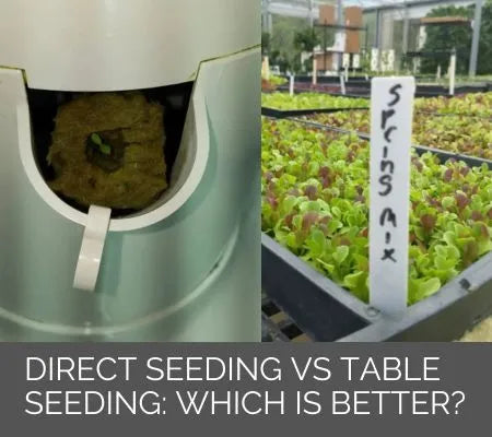 Comparison of direct seeding and table seeding with a close-up of a seedling and a tray of plants.