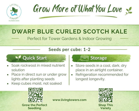 Greens - Kale, Dwarf Blue Curled Scotch Seeds