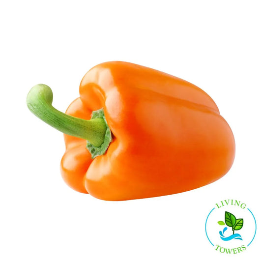 Vegetables - Pepper, Mini Bell Eros