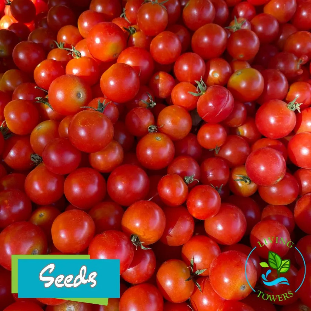 Vegetables - Tomato, Everglades Seeds