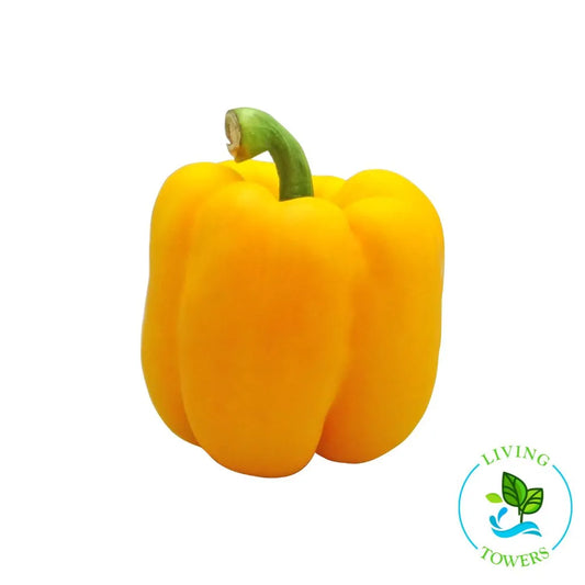 Vegetables - Pepper, Bell Flavorburst
