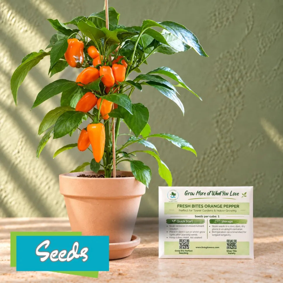 Vegetables - Pepper, Fresh Bites Orange F1 Seeds