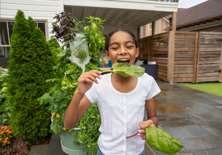 Girl harvesting Swiss chard from a Tower Garden FLEX outdoors