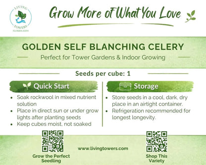Vegetables - Celery, Golden Self Blanching Seeds
