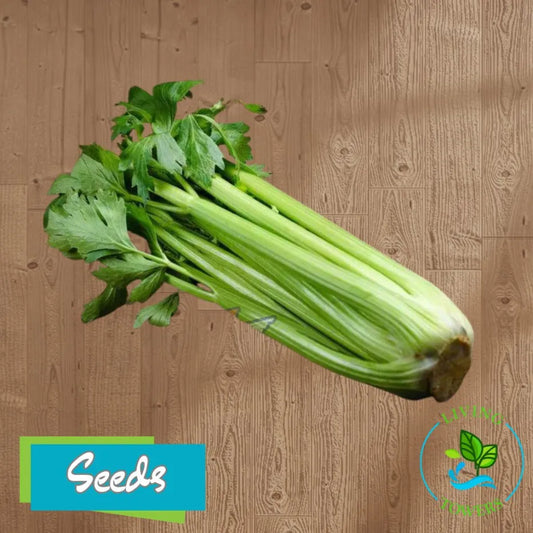 Vegetables - Celery, Golden Self Blanching Seeds