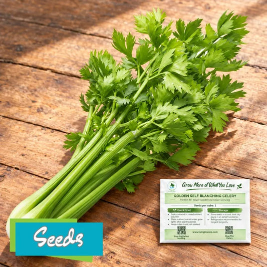 Vegetables - Celery, Golden Self Blanching Seeds