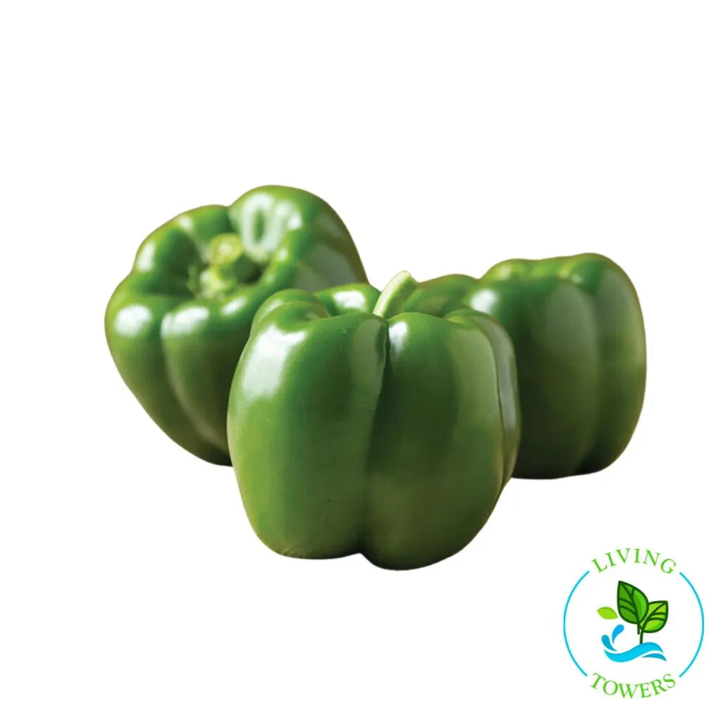 Green Machine Bell Pepper Tower Garden Seedling | Living Towers Florida Keys