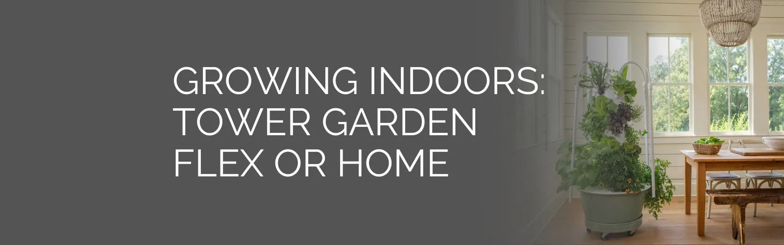 Growing Indoors: Tower Garden FLEX or HOME