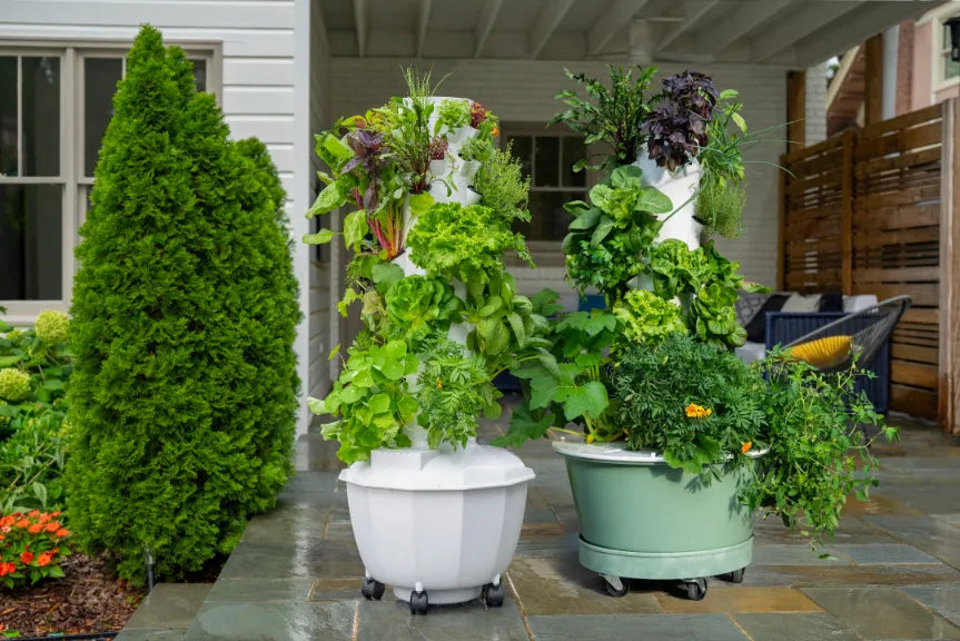 Two Tower Garden systems with plants on a patio
