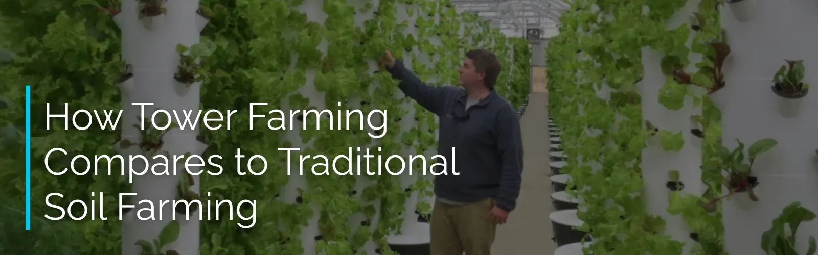 Man pointing at hydroponic plants with text overlay about tower farming vs traditional soil farming.