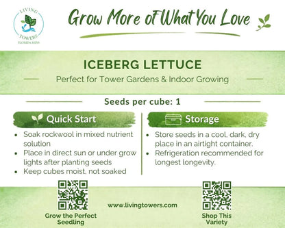 Lettuce - Iceberg Seeds