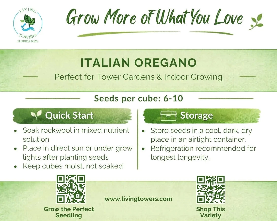Herbs - Oregano, Italian Seeds