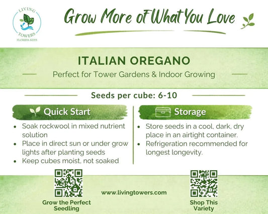 Herbs - Oregano, Italian Seeds