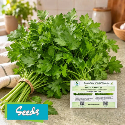 Herbs - Parsley, Italian Seeds