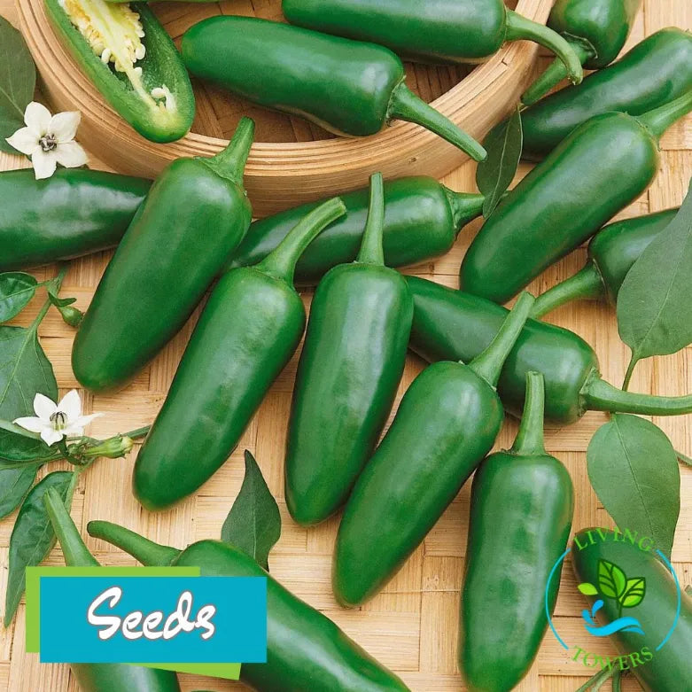 Vegetables - Pepper, Jalapeno Seeds
