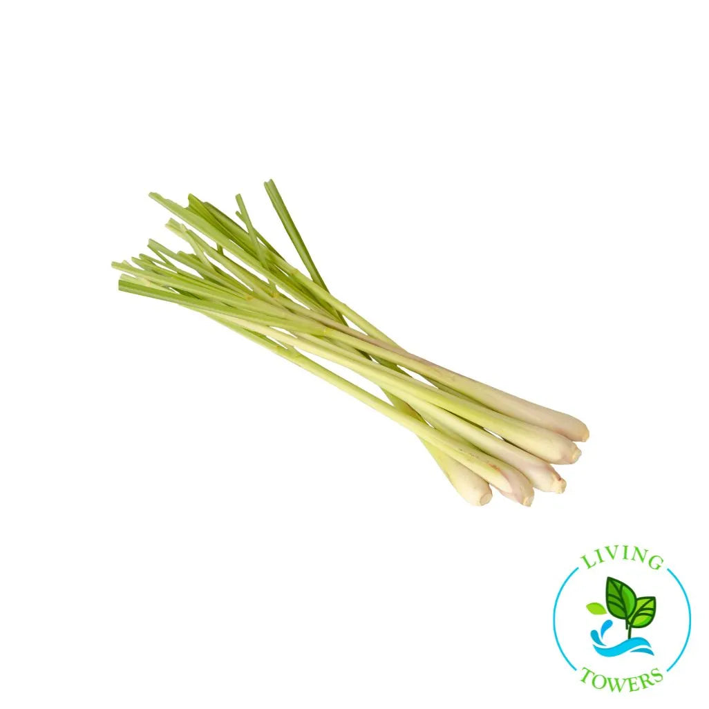 Herbs - Lemon Grass