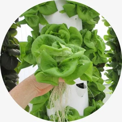 Tower Garden Living Towers Produce