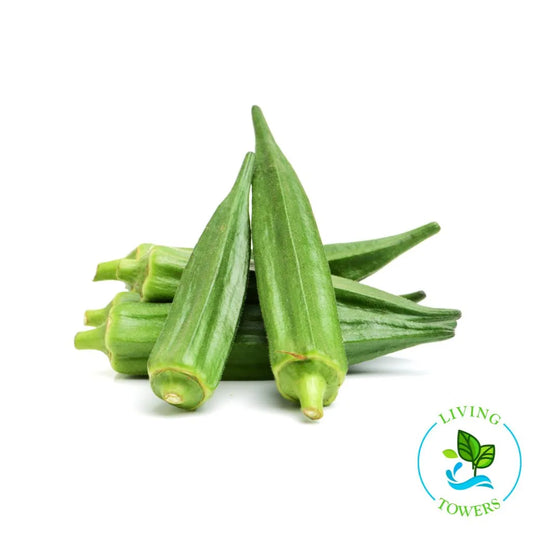 Vegetables - Okra, Clemson Spineless