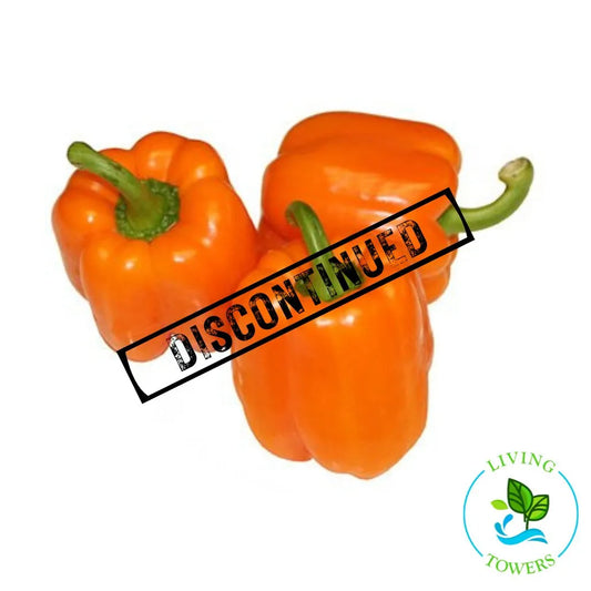 Orange Bell Pepper Tower Garden Seedling | Living Towers Florida Keys